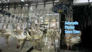 spiumatrice automatica