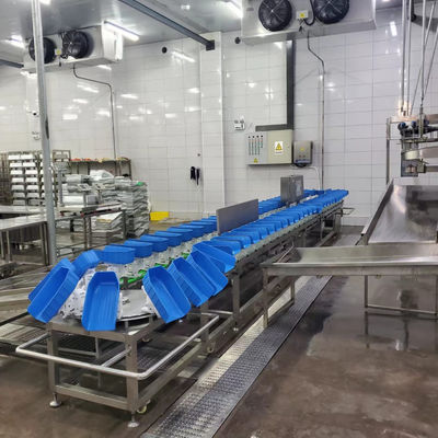 Piatto di pollo, anatra, pollame, cintura di pollame, macchina per la classificazione del peso per la macellazione