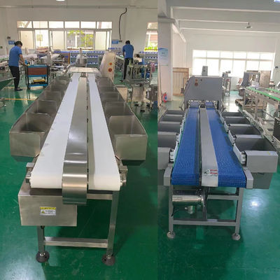 1000 - 6000BPH Sortitore di peso per linea di macellazione di polli