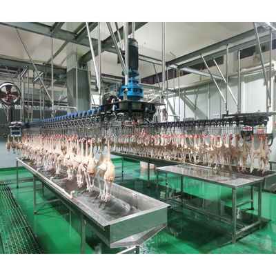 Qualità Macchine per la macellazione automatica di polli da 1000 rpm Fabbrica