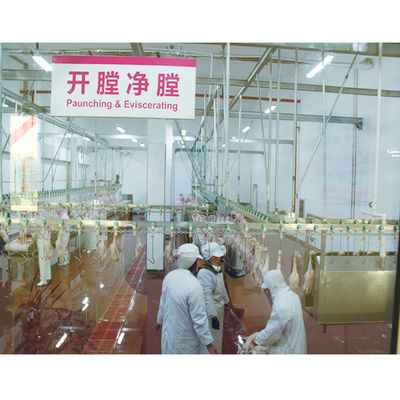 Qualità Acciaio inossidabile Macellaio di pollame Attrezzature automatiche Per la lavorazione della carne Fabbrica