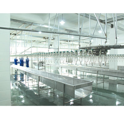 Qualità Acciaio inossidabile Macellaio di pollame Attrezzature automatiche Per la lavorazione della carne Fabbrica
