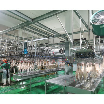 Macchine di raccolta automatiche per impianti di trasformazione della carne di pollo