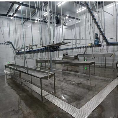 Qualità Plucker di pollo orizzontale e caldaia 50 kg per la produzione ad alta capacità Fabbrica