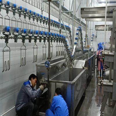 Qualità Plucker di pollo orizzontale e caldaia 50 kg per la produzione ad alta capacità Fabbrica