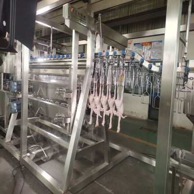 Containerizzato Ultima linea di macellazione di polli mobile per l'industria avicola