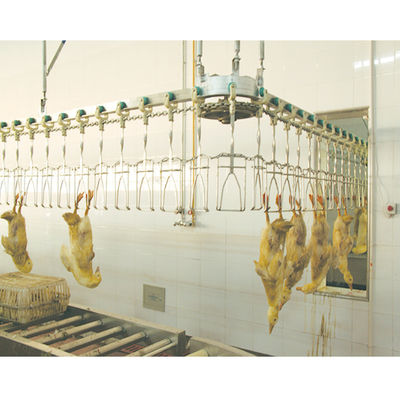 Attrezzatura per l'abbattimento automatico di pollame halal su misura per il processo di raccolta del pollo