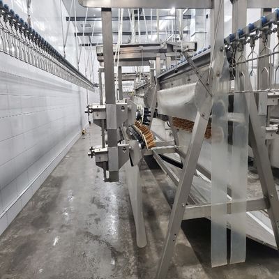 Qualità Attrezzatura per l'abbattimento automatico di pollame halal su misura per il processo di raccolta del pollo Fabbrica