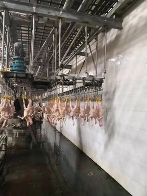 Qualità 500BPH - 2000BPH Macchina automatica per il pollo in acciaio inossidabile Fabbrica