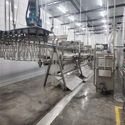 Macchine per la macellazione di pollame con installazione in loco o online e in acciaio inossidabile 304