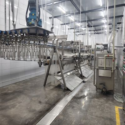 Qualità Macchine per la macellazione di pollame con installazione in loco o online e in acciaio inossidabile 304 Fabbrica