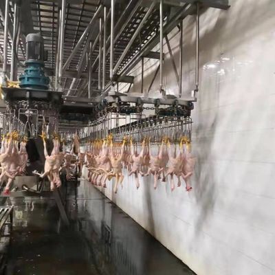 Acciaio inossidabile 304 Turchia Macchine per macellazione