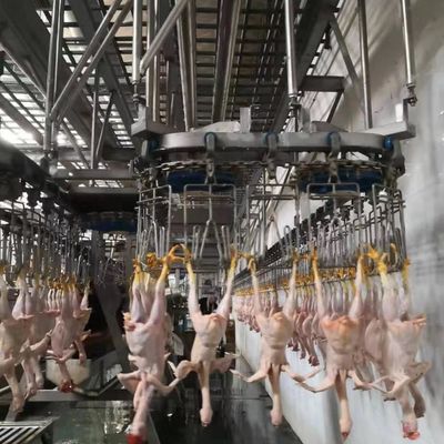 220V / 380V macchina automatica per l'abbattimento di pollame linea di lavorazione di macellazione