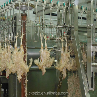 380V/220V Voltage Processing Machine per la trasformazione di pollame per la decapatura e la macellazione di polli halal