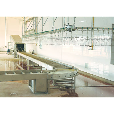Qualità Linea di trasmissione della macchina automatica di macellazione del pollo, dell'anatra, dell'oca 220V/380V Fabbrica