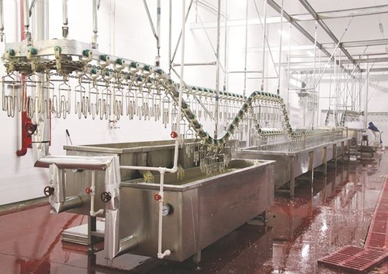 Qualità Macchina per l'abbattimento di pollo, anatra, tacchino, oca 2000BPH per pollame Fabbrica