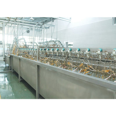 Macchine per la macellazione di anatre da 3000BPH 380V / 220V