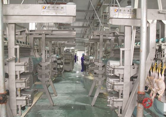 Qualità Apparecchiature per l'abbattimento di pollame SS 200BPH - 12000BPH Fabbrica