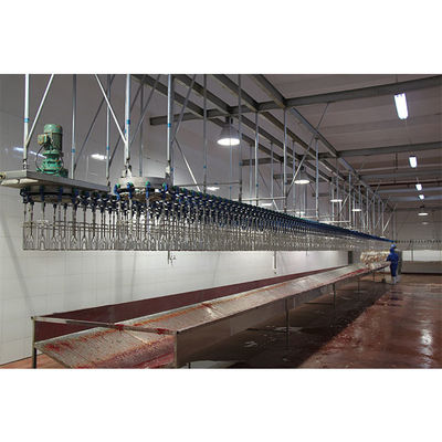 Qualità Linea di sanguinamento di pollo a capacità personalizzata con macchina di macellazione in acciaio inox Fabbrica