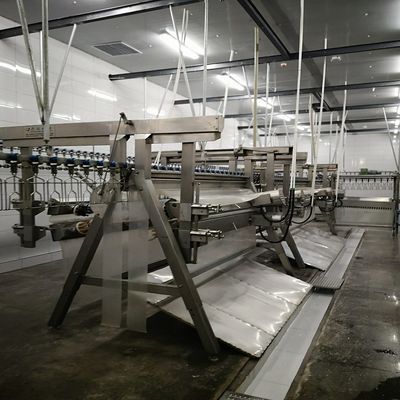 Macchina di macellazione automatica Halal Macchina di raffreddamento preliminare per impianti di pollame 100 kg