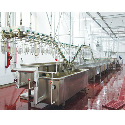 Apparecchiature per l'abbattimento di pollame ad alta produttività 220V / 380V per l'anatra 200 - 12000BPH
