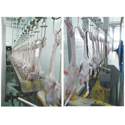 Qualità Apparecchiature per l'abbattimento di pollame ad alta produttività 220V / 380V per l'anatra 200 - 12000BPH Fabbrica