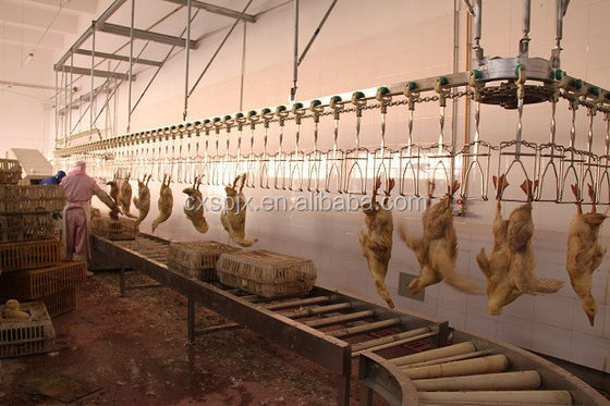 Acciaio inossidabile 220V della macchina 304 di Duck Goose Processing Line Slaughter del pollo