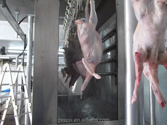 Qualità Equipaggiamento per l'abbattimento di pollame Halal SS 304 Macchina per la trasformazione della carne di pollo 400 kg Fabbrica