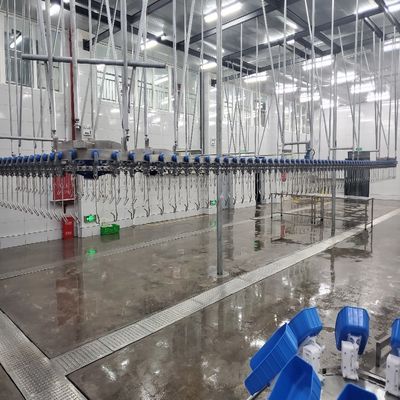 Qualità Impianto di trasformazione di pollame di pollo da 500 Bph Fabbrica