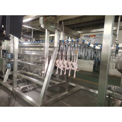 200BPH 300BPH 500BPH Taglio automatico di uccisioni di oca, anatra, pollo, macello, macellazione, linea di lavorazione