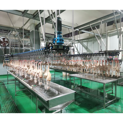 1000-2000BPH Macchina automatica per la macellazione di polli per macellazione di polli