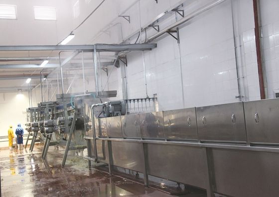 Macchina elettrica per l'abbattimento di polli per le fattorie