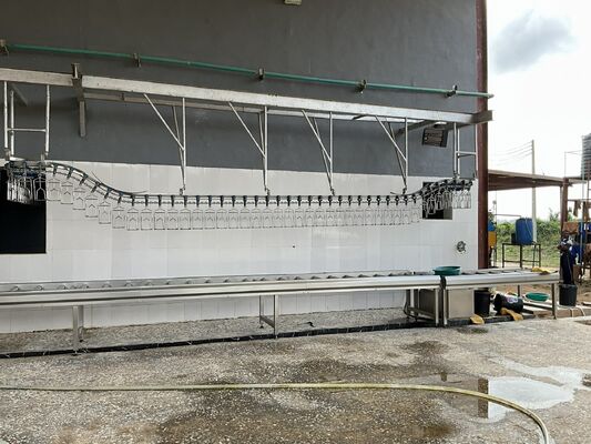 Linea di trasformazione del pollame chiavi in mano ad alta efficienza certificata Halal per 1000 uccelli all'ora